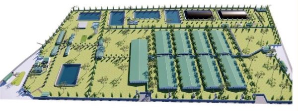 TRANG TRẠI NUÔI HEO TN3 – QUY MÔ 30.000 HEO THỊT